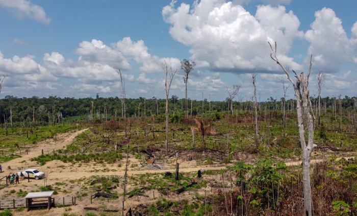 Operação Virola-Jatoba, em Anapu, foi realizada por uma força-tarefa a pedido do MPF e MPPA Operação Virola-Jatoba, em Anapu, foi realizada por uma força-tarefa a pedido do MPF e MPPA
