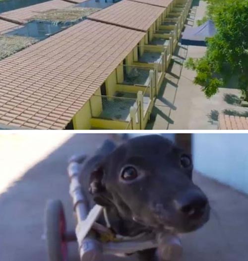 montagem.jpg