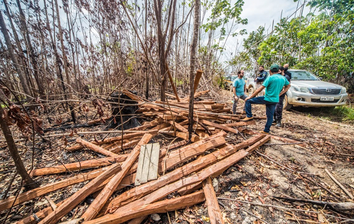 Operação Virola-Jatoba, em Anapu, foi realizada por uma força-tarefa a pedido do MPF e MPPA Operação Virola-Jatoba, em Anapu, foi realizada por uma força-tarefa a pedido do MPF e MPPA